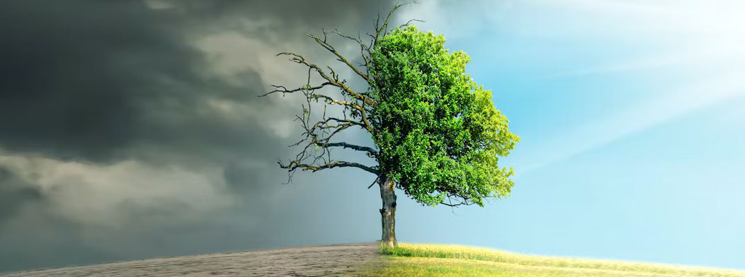 Scientists outline key policies for degrowth in the fight against climate change