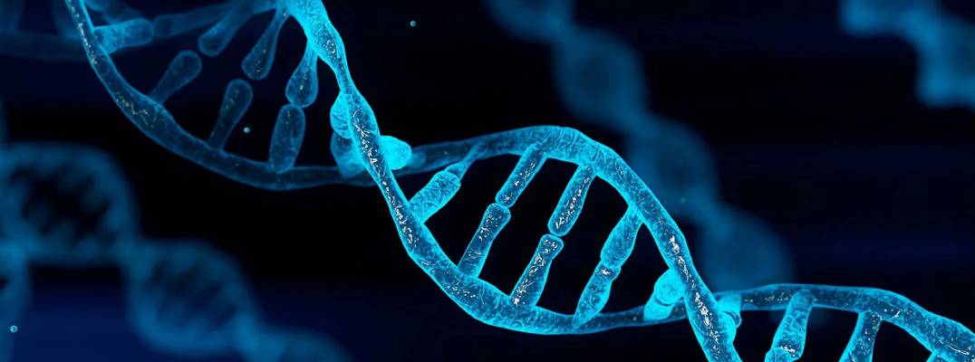 Study Reveals Single-Stranded DNA Impurities in Gene Therapy Vectors