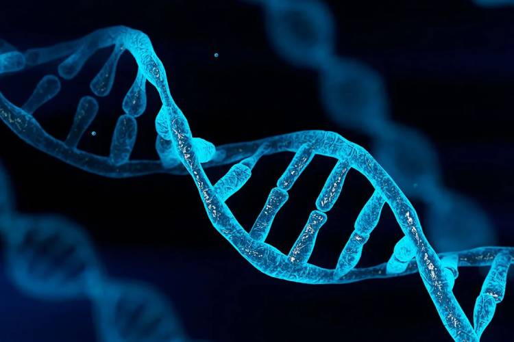 Study Reveals Single-Stranded DNA Impurities in Gene Therapy Vectors