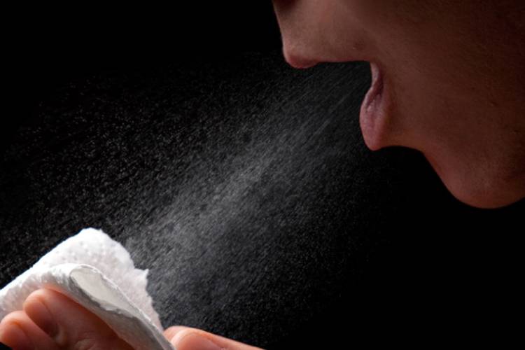 Prior Exposure to Seasonal Flu May Provide Protection Against Avian Influenza, Study Finds