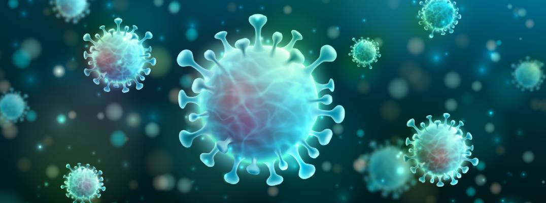 Older Adults Exhibit Stronger Immunity Against Bird Flu, New Penn Study Reveals